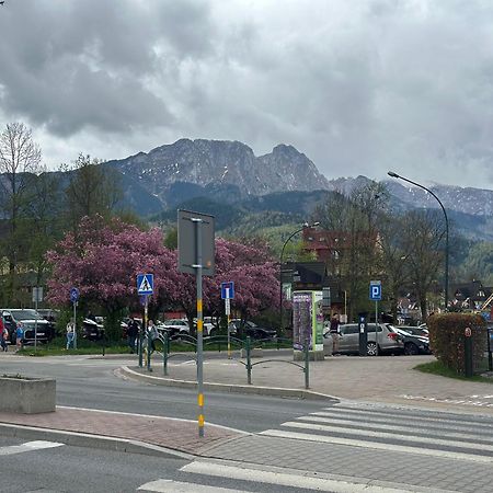 Lesny Dworek Zakopane Kültér fotó