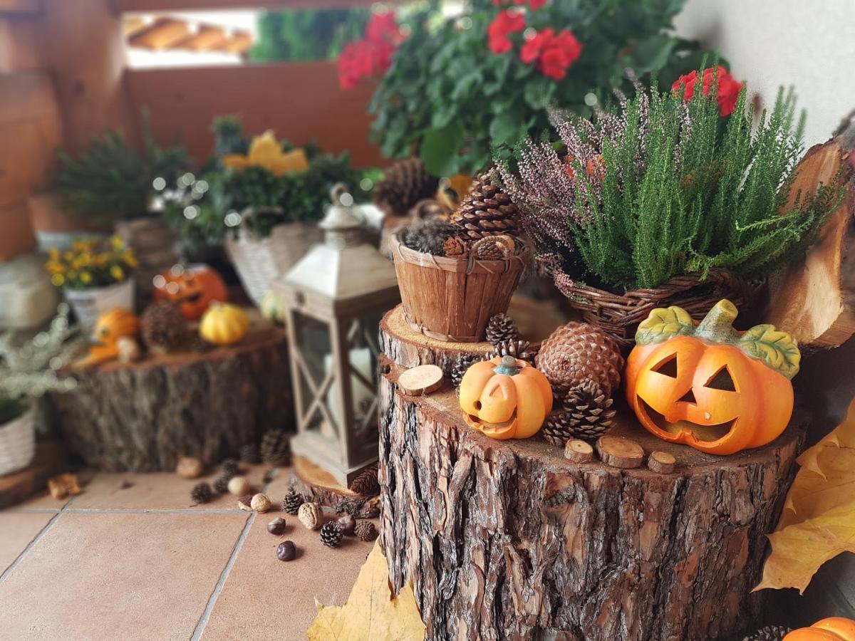 Lesny Dworek Zakopane Kültér fotó