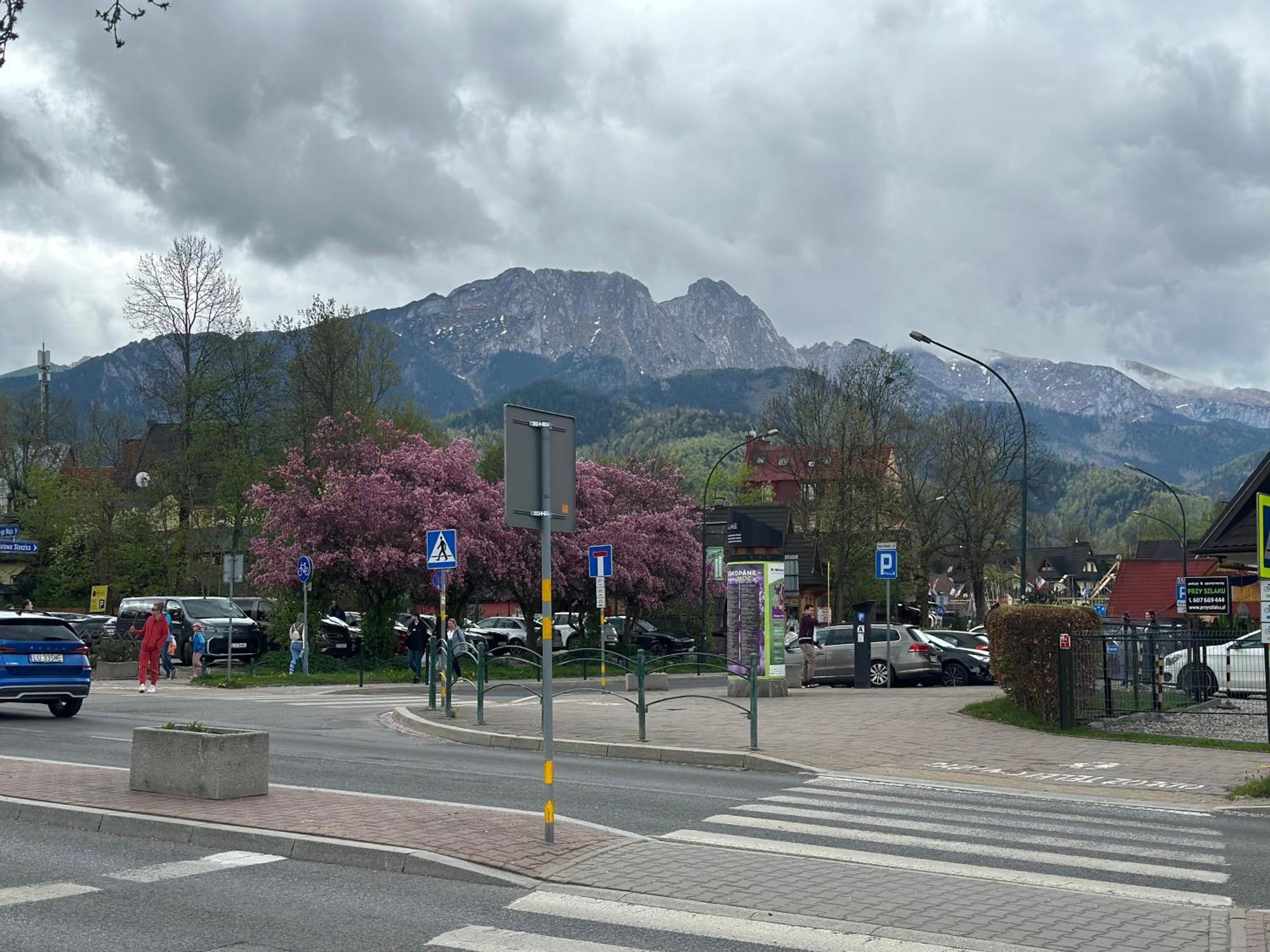 Lesny Dworek Zakopane Kültér fotó